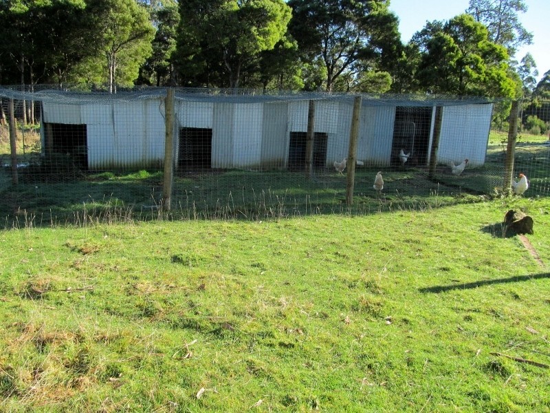 230 Lyons Road, Lapoinya TAS 7325