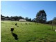230 Lyons Road, Lapoinya TAS 7325