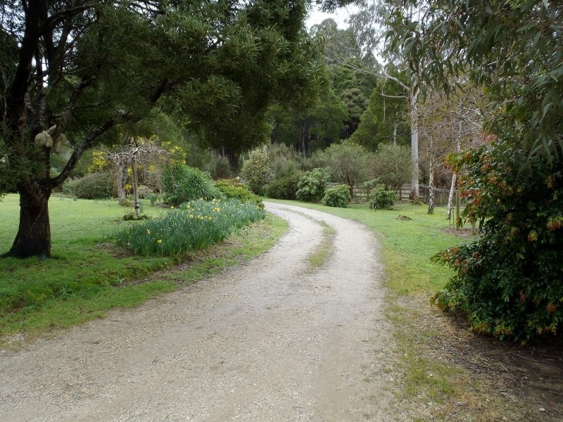 230 Lyons Road, Lapoinya TAS 7325
