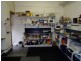44A Wilmot Street, Burnie TAS 7320
