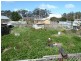15-17 George Street, Ridgley TAS 7321