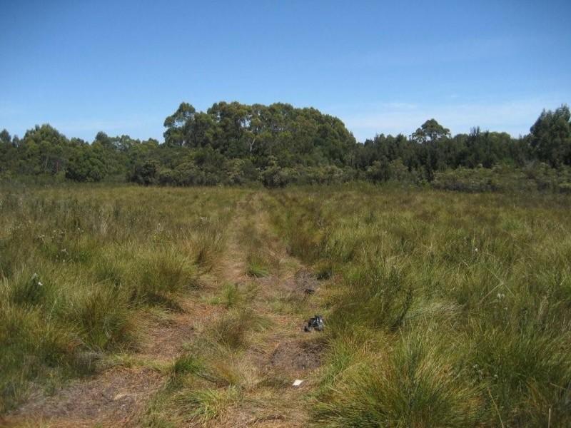 Strahan TAS 7468