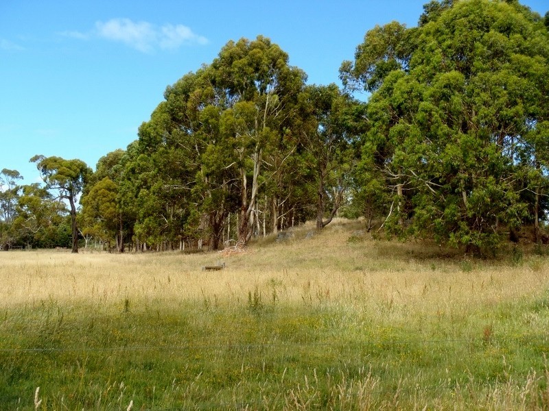 38 Walker Street, Wynyard TAS 7325