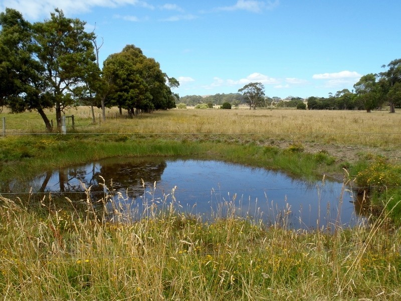 38 Walker Street, Wynyard TAS 7325