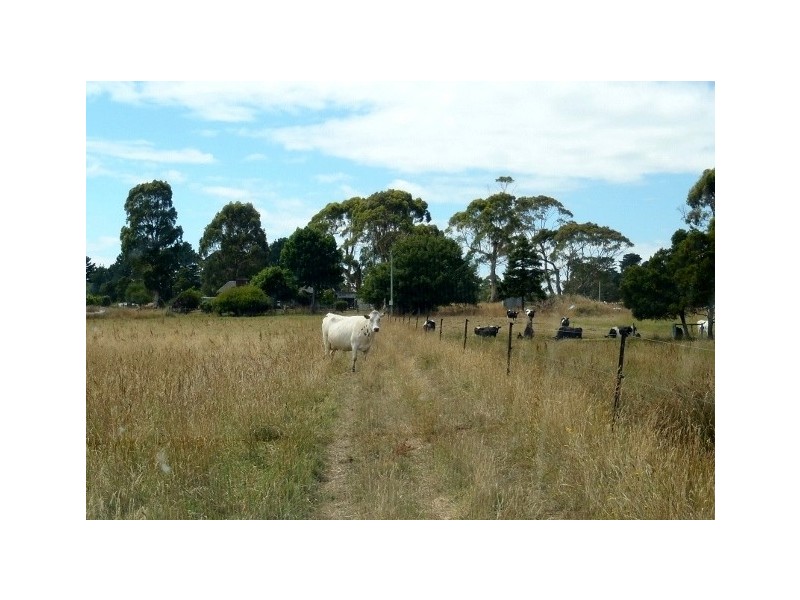 38 Walker Street, Wynyard TAS 7325