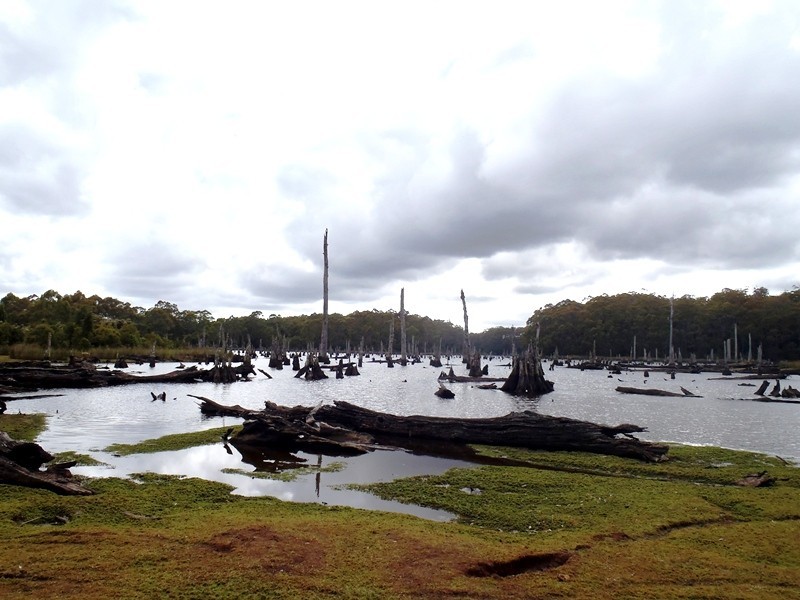 Lot 2 Main Road, Waratah TAS 7321