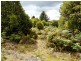 Lot 2 Main Road, Waratah TAS 7321