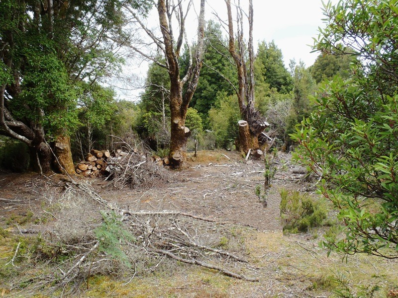 Lot 2 Main Road, Waratah TAS 7321