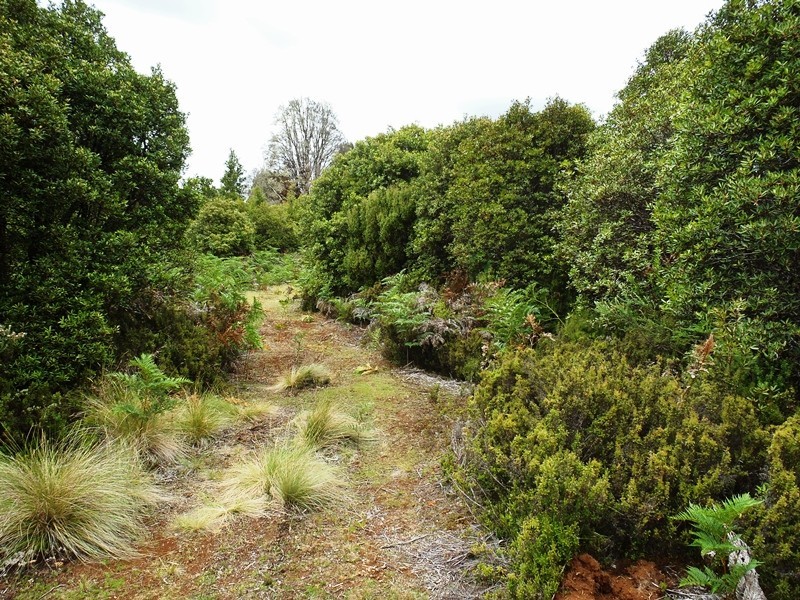 Lot 2 Main Road, Waratah TAS 7321