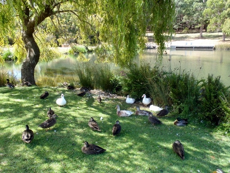 19 Amanda Court, Burnie TAS 7320