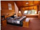 228 North Prospect Road, Ridgley TAS 7321