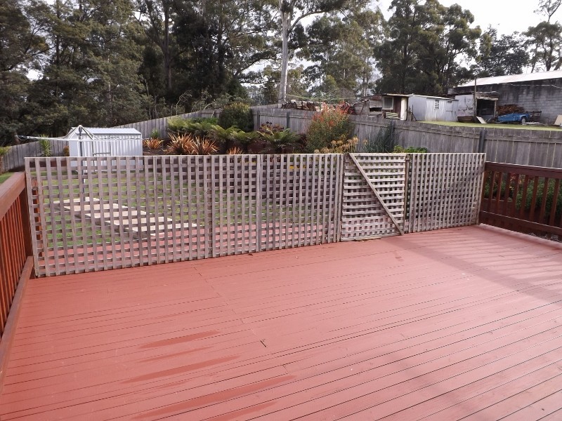 974 Ridgley Highway, Ridgley TAS 7321