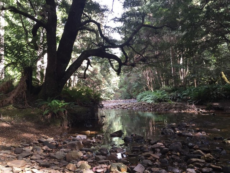 Lot 1 Loongana Road, Loongana TAS 7315