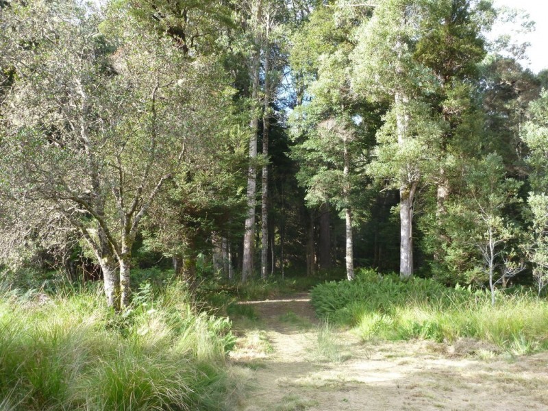 Lot 1 Loongana Road, Loongana TAS 7315