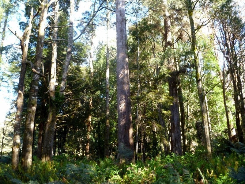 Lot 1 Loongana Road, Loongana TAS 7315