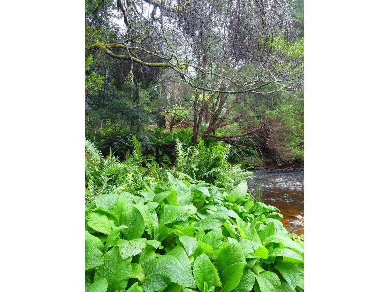 Lot 1 Loongana Road, Loongana TAS 7315