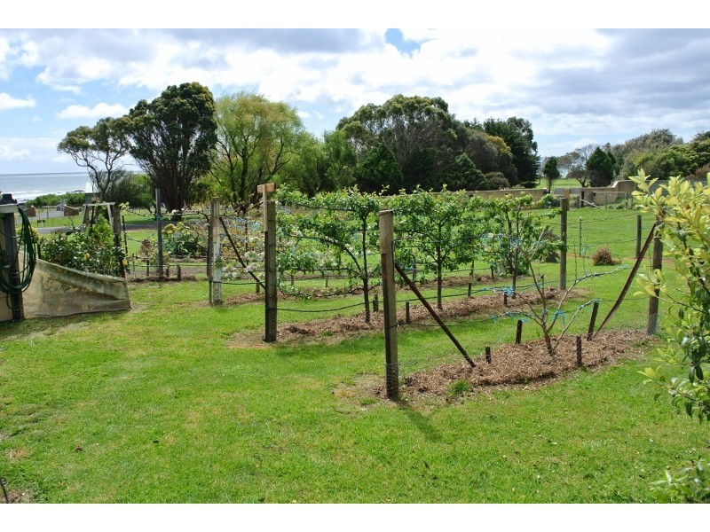 655 Penguin Road, Penguin TAS 7316