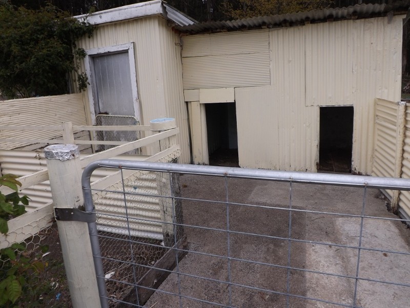 935 Oonah Road, Ridgley TAS 7321