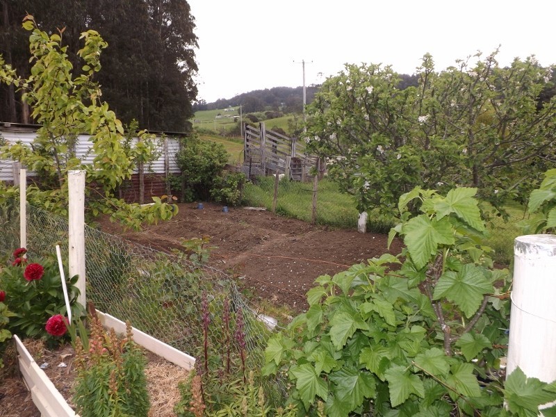 935 Oonah Road, Ridgley TAS 7321