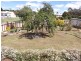 989 Ridgley Highway, Ridgley TAS 7321
