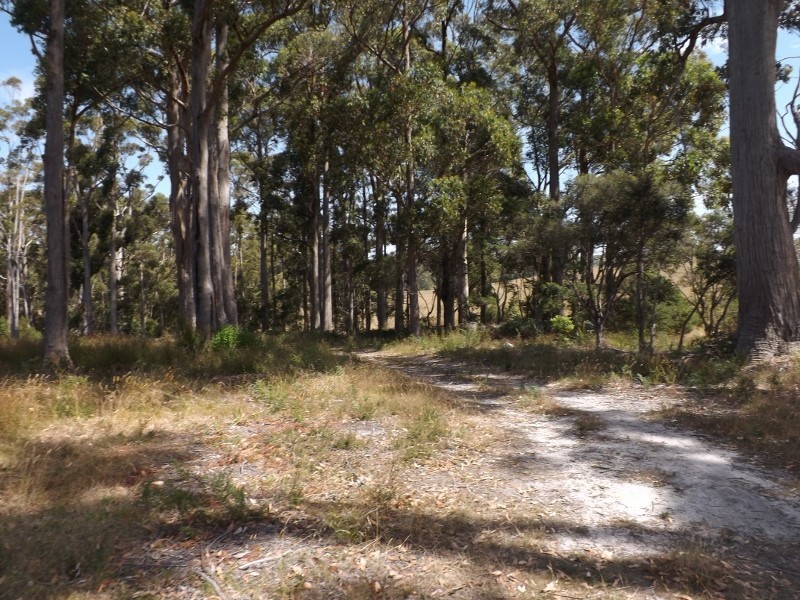 21 Dennison Close, Heybridge TAS 7316