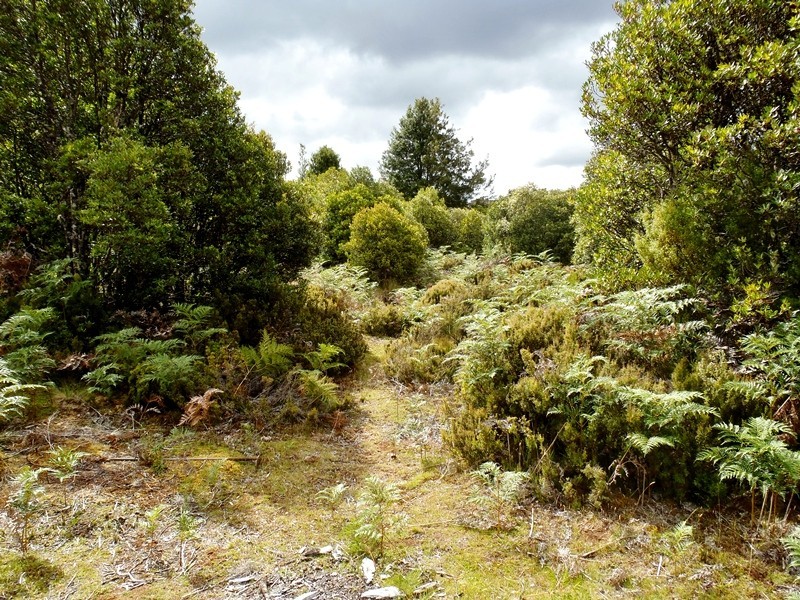 Lot 2 Main Road, Waratah TAS 7321