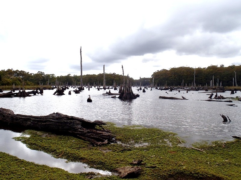 Lot 2 Main Road, Waratah TAS 7321