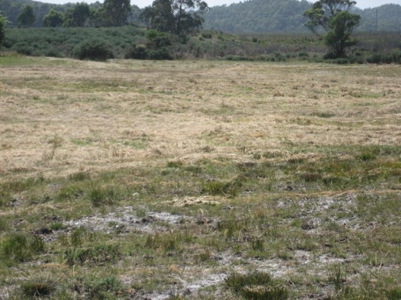 Zeehan TAS 7469