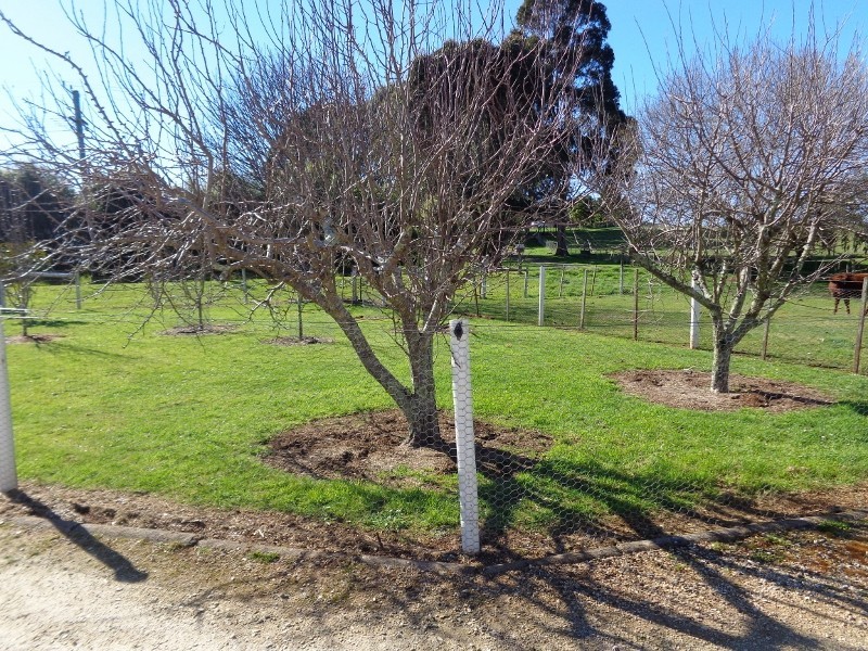 10 Breffny Road, Romaine TAS 7320