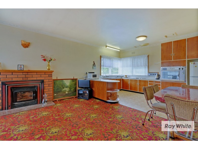 1033 Ridgley Highway, Ridgley TAS 7321