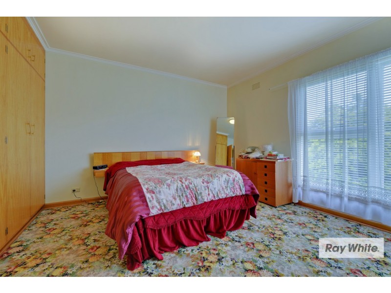 1033 Ridgley Highway, Ridgley TAS 7321