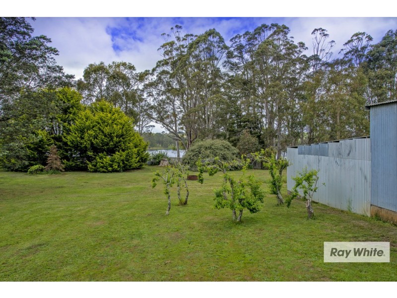 1033 Ridgley Highway, Ridgley TAS 7321