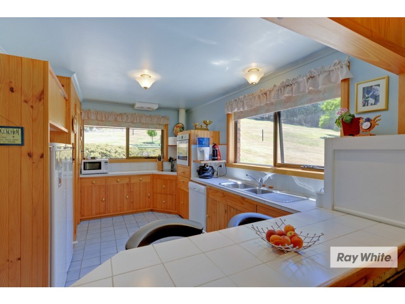 80 Bienefelts Road, Turners Beach TAS 7315