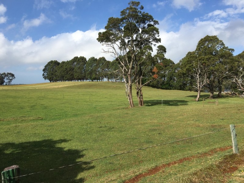 233 Upper Natone Road, Natone TAS 7321