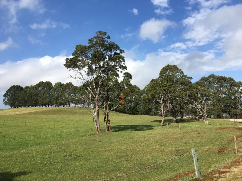 233 Upper Natone Road, Natone TAS 7321