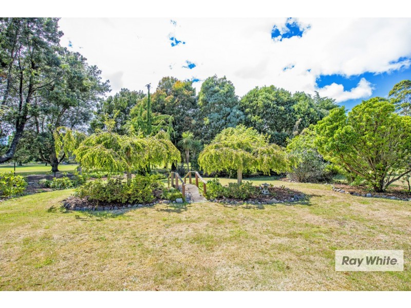 45 Dial Road, Penguin TAS 7316