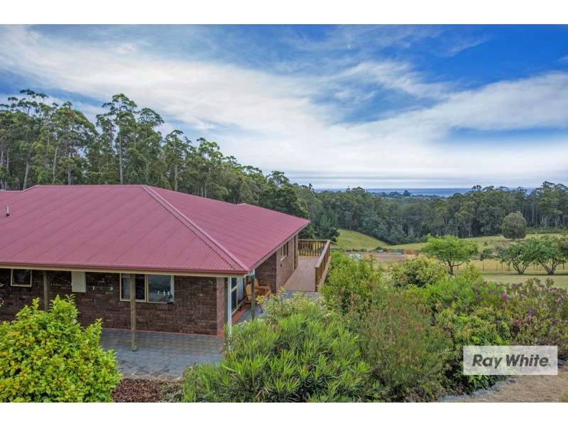 20 Crawford Road, Penguin TAS 7316