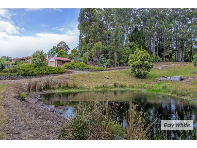 20 Crawford Road, Penguin TAS 7316