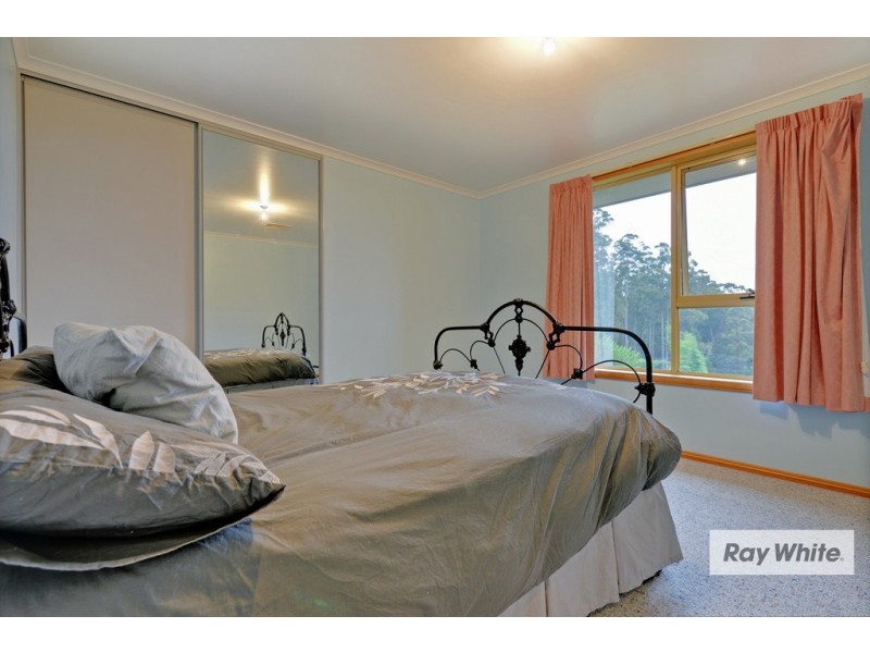 20 Crawford Road, Penguin TAS 7316