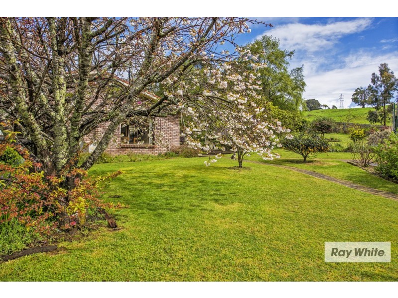 65 Tippetts Lane, Mount Hicks TAS 7325
