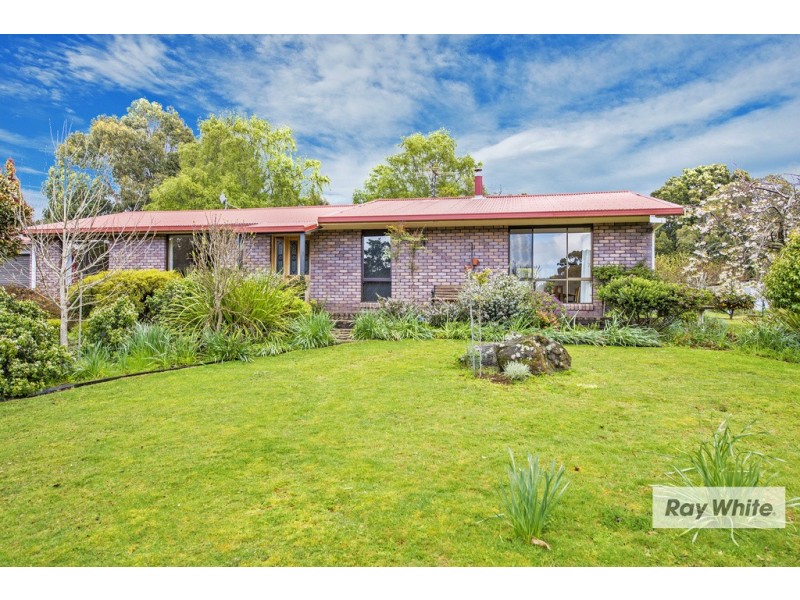 65 Tippetts Lane, Mount Hicks TAS 7325