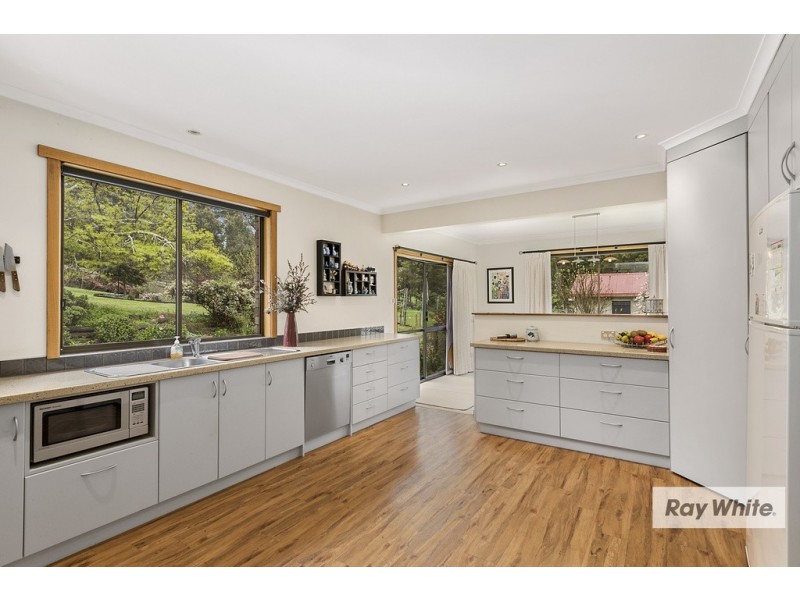 65 Tippetts Lane, Mount Hicks TAS 7325