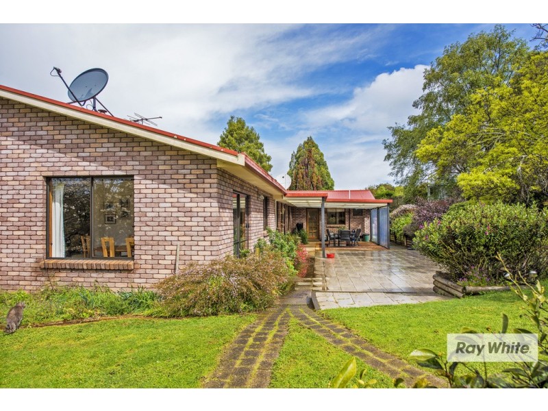 65 Tippetts Lane, Mount Hicks TAS 7325