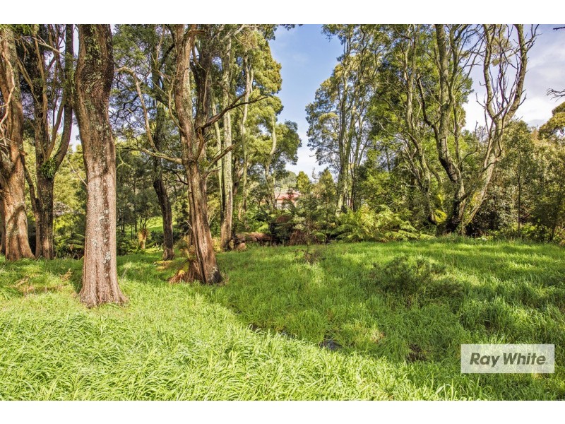 65 Tippetts Lane, Mount Hicks TAS 7325