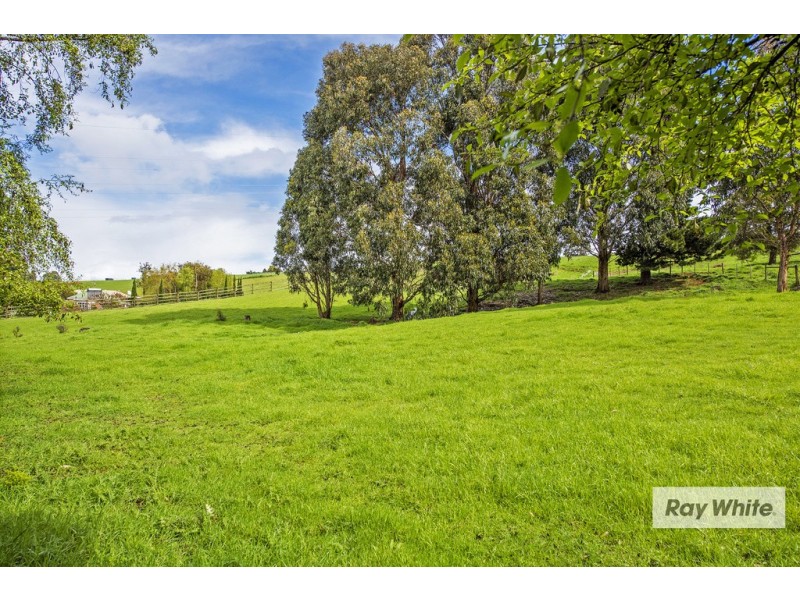 65 Tippetts Lane, Mount Hicks TAS 7325