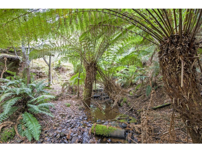 650 Upper Natone Road, Upper Natone TAS 7321
