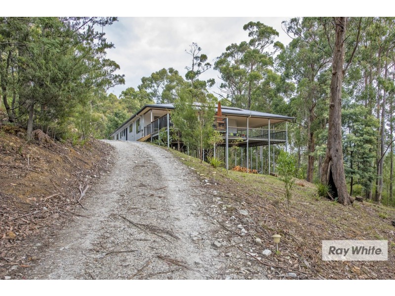 371A Back Cam Road, Somerset TAS 7322