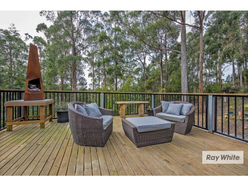 371A Back Cam Road, Somerset TAS 7322