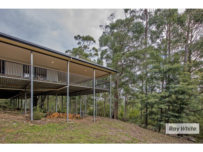 371A Back Cam Road, Somerset TAS 7322