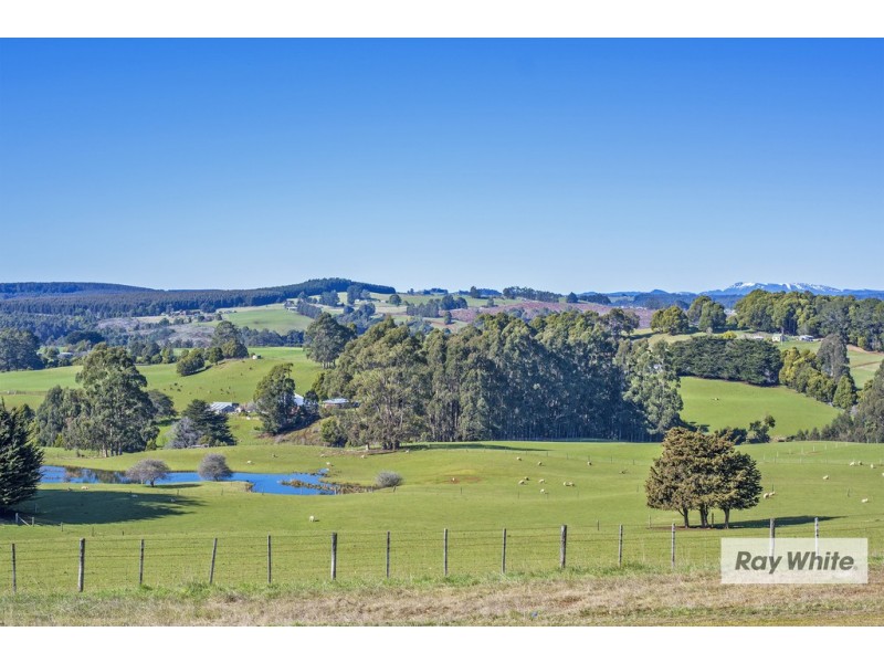 1052 Murchison Hwy, Elliott TAS 7325